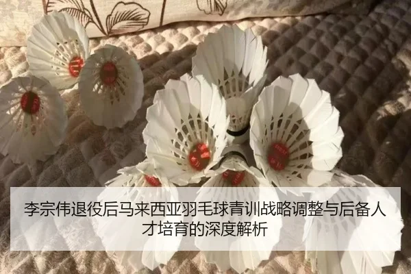 李宗伟退役后马来西亚羽毛球青训战略调整与后备人才培育的深度解析